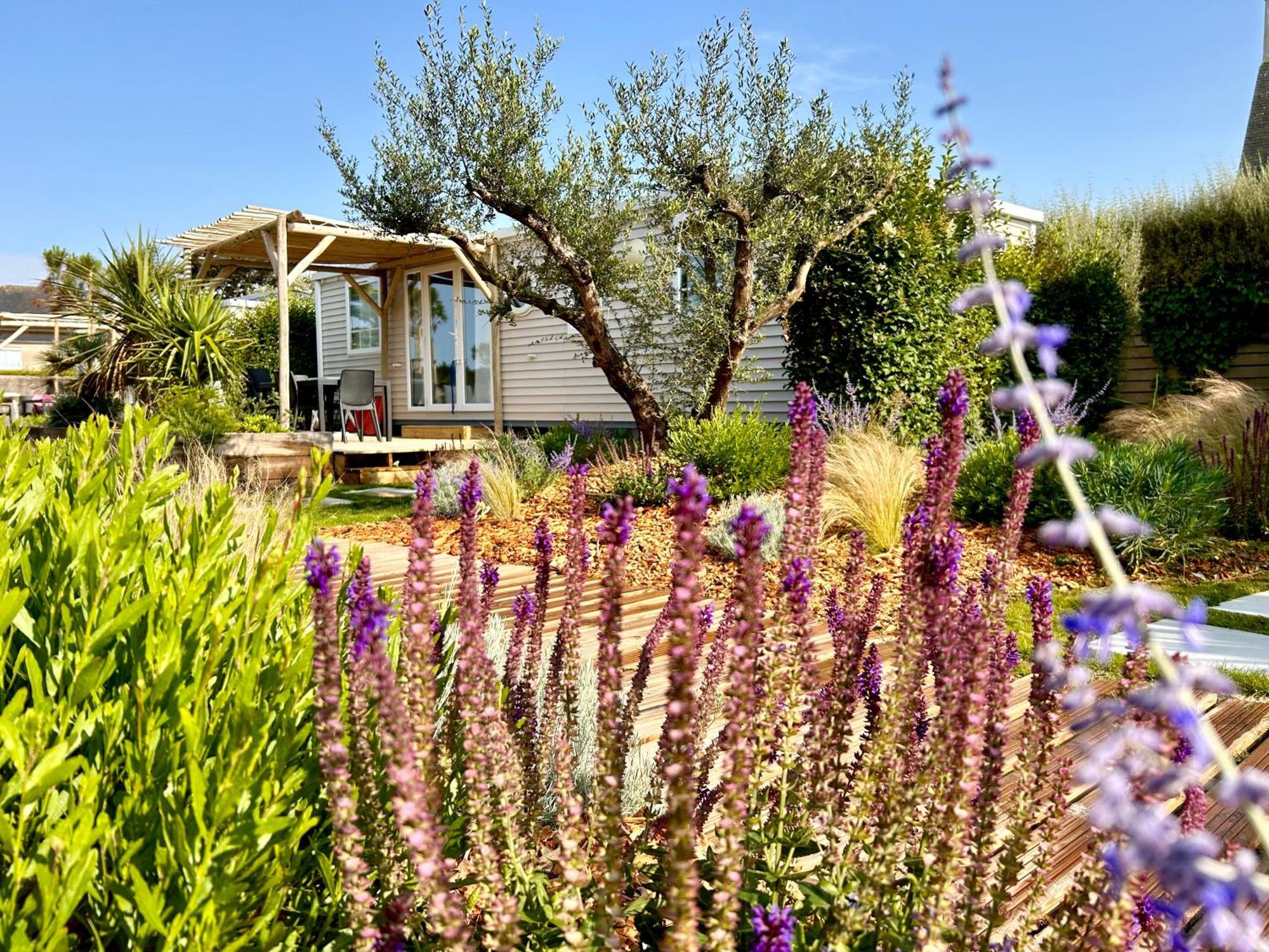 Camping De La Cote Des Legendes Brignogan-Plages Eksteriør bilde